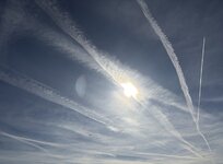 IMG_7539.jpeg