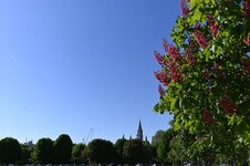 DSC_1962.jpg