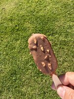 IMG_6390.jpeg