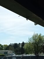 IMG_20260426_101706.jpg