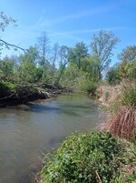 IMG_20260425_102124.jpg