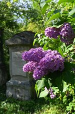 DSC_2066.jpg