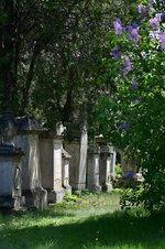 DSC_2386.jpg