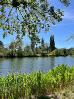 IMG_6030.jpeg