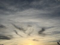 IMG_6456.jpeg