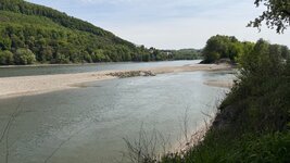 IMG_8131.jpeg
