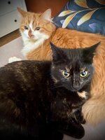 IMG_1514.jpeg