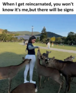 1777477027972.png