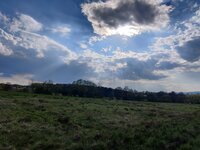 IMG_20260417_171753.jpg