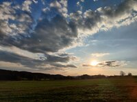 IMG_20260417_185920.jpg