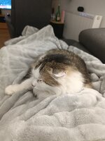 IMG_20260429_223822.jpg