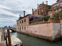 IMG_7145.jpeg