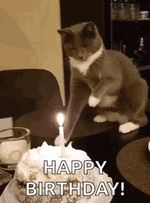 1777556867121.gif