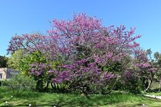 DSC_2665.jpg