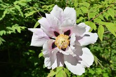 DSC_2640.jpg