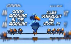 gumoallessenkrecht.jpg