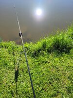20260502_082958.jpg