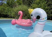 IMG_3247.jpeg