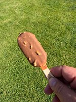 IMG_6585.jpeg