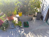 IMG_20260502_172517526.jpg