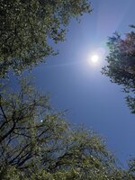 IMG_6599.jpeg