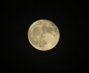 IMG_1315a.JPG