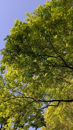 IMG_20260503_173934.jpg
