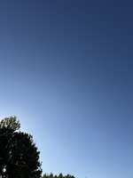 IMG_6606.jpeg