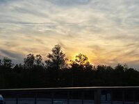 20260503_195448.jpg