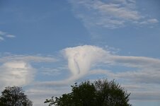DSC_1466.jpg