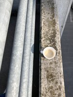 IMG_2294.jpeg