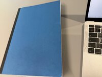 IMG_2894.jpeg