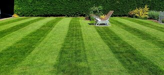 20250525_092106.jpg