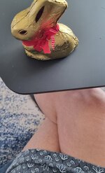 20260504_115247.jpg
