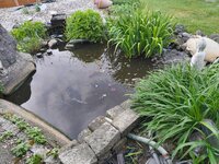 IMG_20260504_192119036.jpg