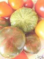 IMG_0424.jpeg