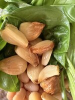 IMG_0425.jpeg