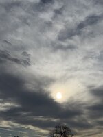 IMG_6648.jpeg