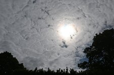 DSC_2825.jpg