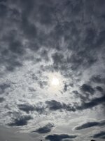 IMG_6692.jpeg