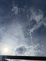 IMG_6693.jpeg