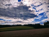 IMG_20250906_155253-EFFECTS.jpg
