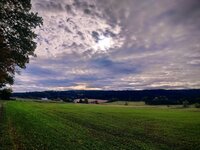 IMG_20251025_101419-EFFECTS.jpg