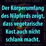 e1c12e1d-bde0-44f3-ac83-bce7842e1109.jpeg