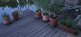 20260506_203430.jpg