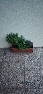 20260506_203445.jpg