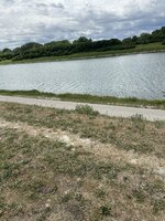 IMG_8484.jpeg