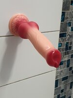 20241012_201113 1.jpg
