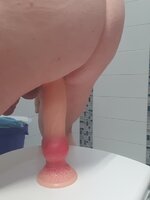 20241020_212729 2.jpg