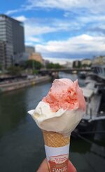 20260507_170320.jpg